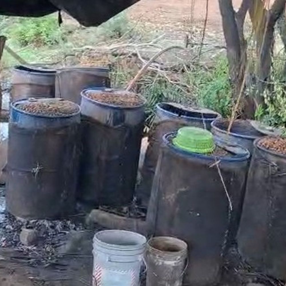 ऑपरेशन त्रिनेत्र: बांसवाड़ा में अवैध शराब की 8 भट्टियां तोड़ी:125 लीटर महुआ शराब जब्त, 33 ड्रमों में भरा 10 हजार लीटर महुआ वॉश नष्ट