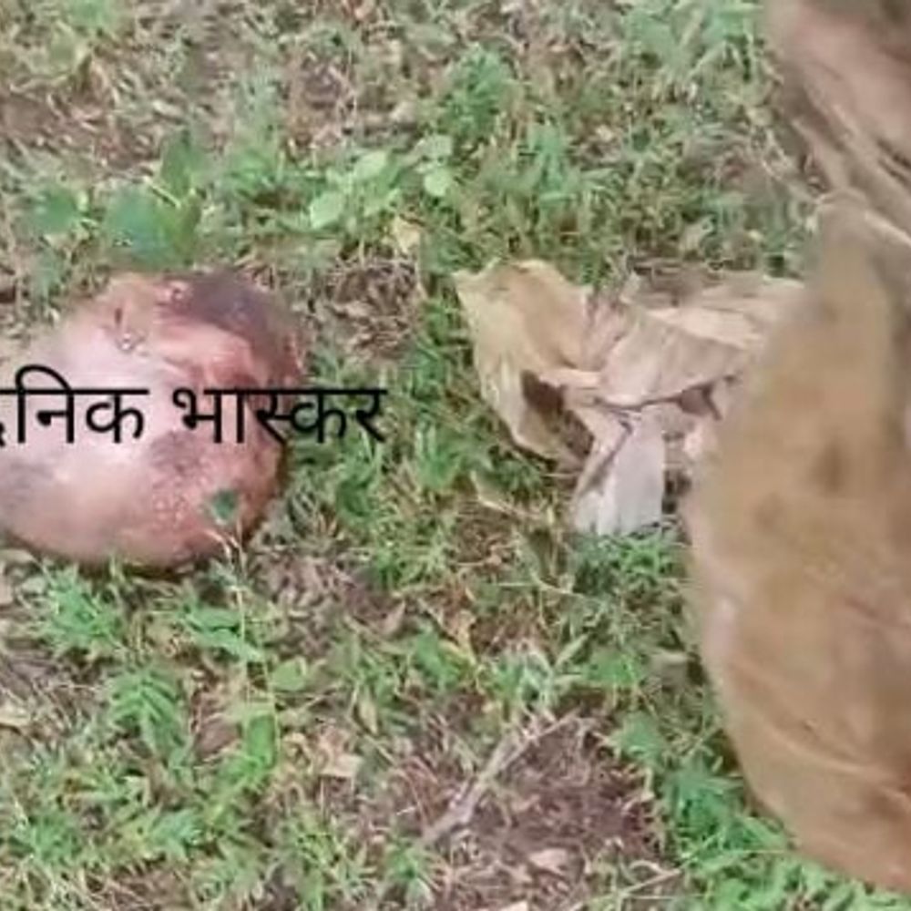 भिलाई में मिला कटा हुआ मानव सिर, सेप्टिक लाइन सफाई के दौरान सनसनी